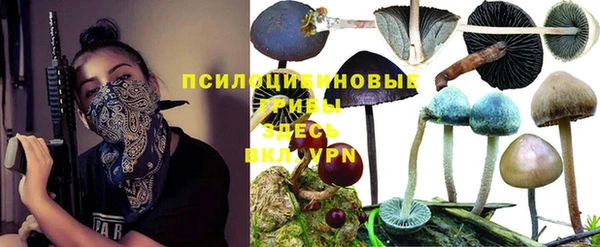 тгк Балабаново