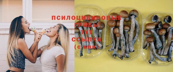дурь Баксан