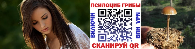 Галлюциногенные грибы GOLDEN TEACHER  даркнет сайт  Шумерля 